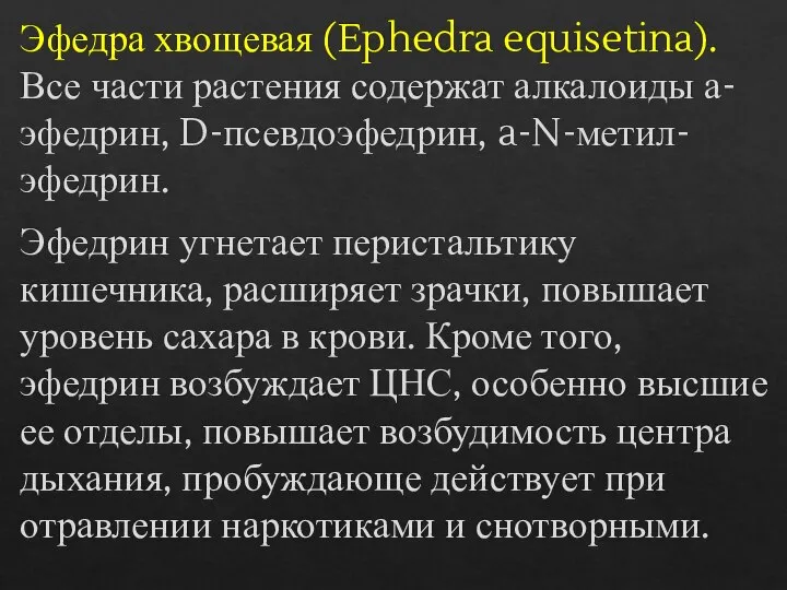 Эфедра хвощевая (Ephedra equisetina). Все части растения содержат алкалоиды а-эфедрин, D-псевдоэфедрин, a-N-метил-эфедрин.