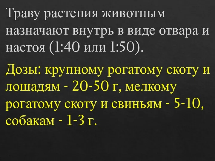 Траву растения животным назначают внутрь в виде отвара и настоя (1:40 или