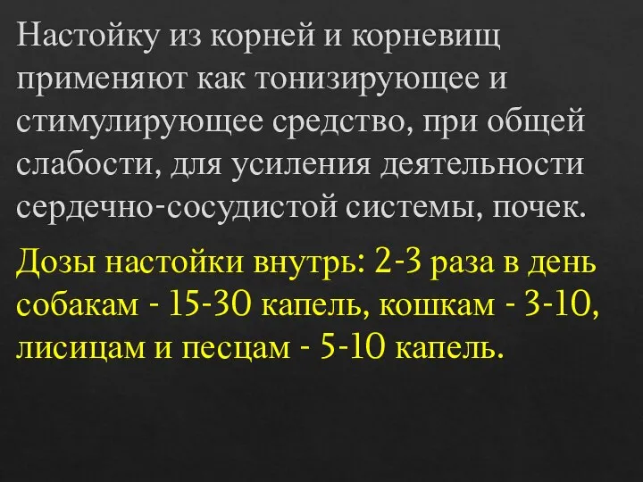 Настойку из корней и корневищ применяют как тонизирующее и стимулирующее средство, при