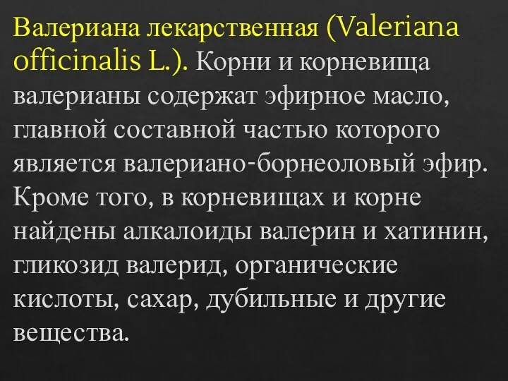 Валериана лекарственная (Valeriana officinalis L.). Корни и корневища валерианы содержат эфирное масло,