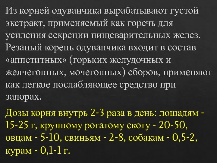 Из корней одуванчика вырабатывают густой экстракт, применяемый как горечь для усиления секреции