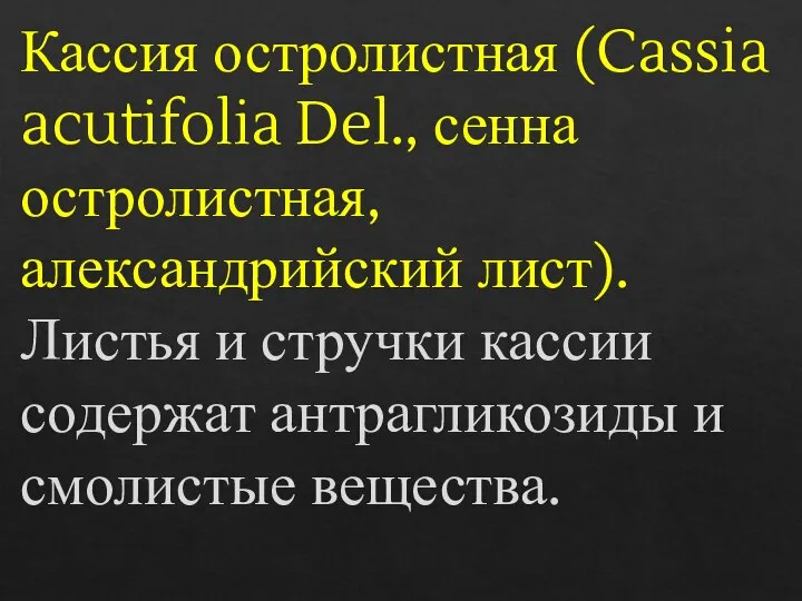 Кассия остролистная (Cassia acutifolia Del., сенна остролистная, александрийский лист). Листья и стручки