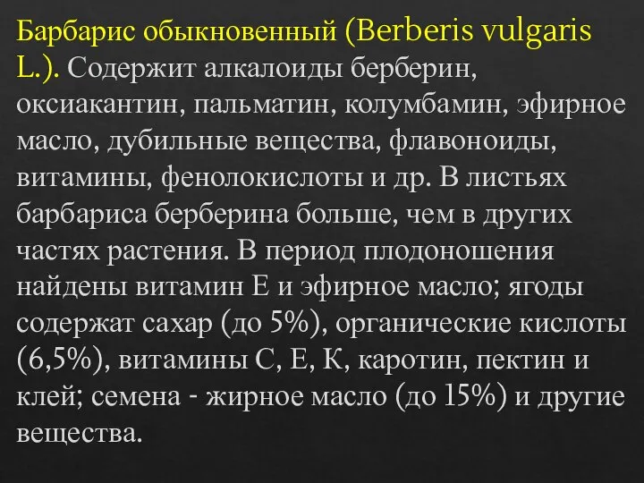 Барбарис обыкновенный (Berberis vulgaris L.). Содержит алкалоиды берберин, оксиакантин, пальматин, колумбамин, эфирное