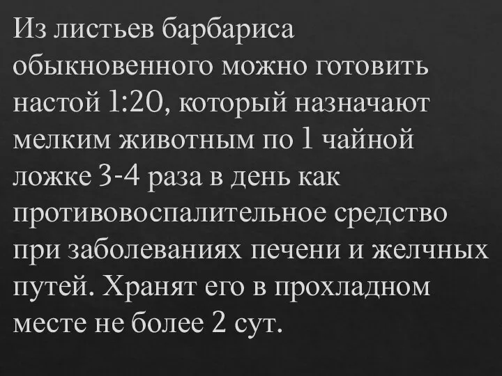 Из листьев барбариса обыкновенного можно готовить настой 1:20, который назначают мелким животным