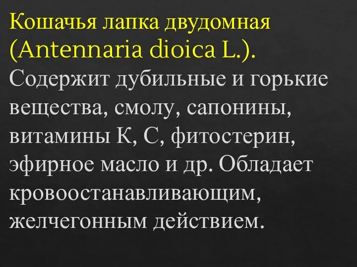 Кошачья лапка двудомная (Antennaria dioica L.). Содержит дубильные и горькие вещества, смолу,