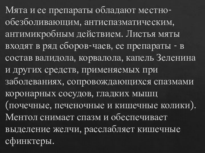 Мята и ее препараты обладают местно-обезболивающим, антиспазматическим, антимикробным действием. Листья мяты входят