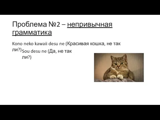 Проблема №2 – непривычная грамматика Kono neko kawaii desu ne (Красивая кошка,