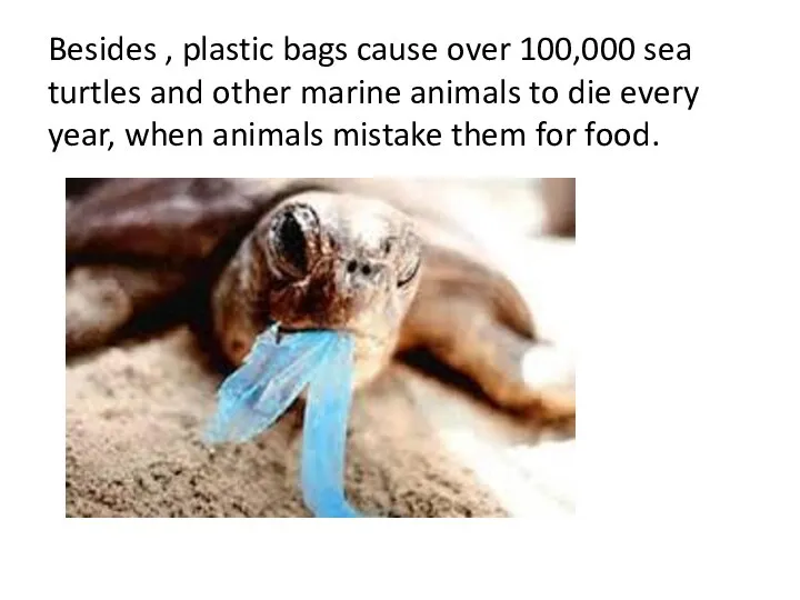 Besides , plastic bags cause over 100,000 sea turtles and other marine