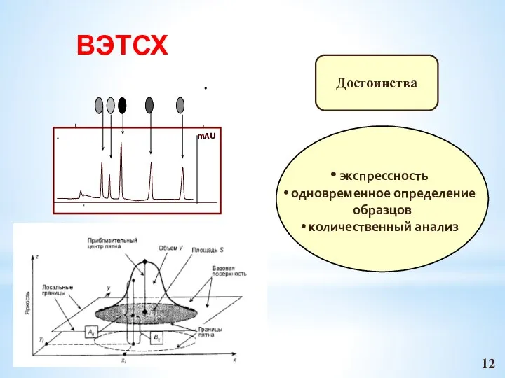 ВЭТСХ экспрессность одновременное определение образцов количественный анализ Достоинства