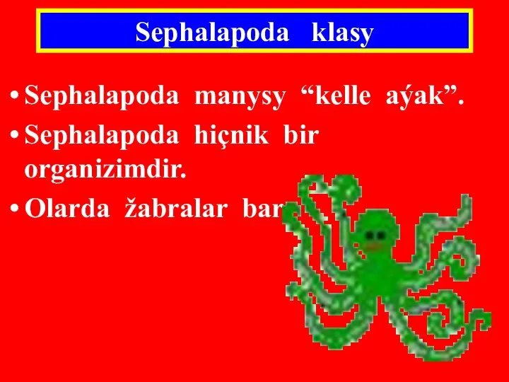 Sephalapoda klasy Sephalapoda manysy “kelle aýak”. Sephalapoda hiçnik bir organizimdir. Olarda žabralar bar.