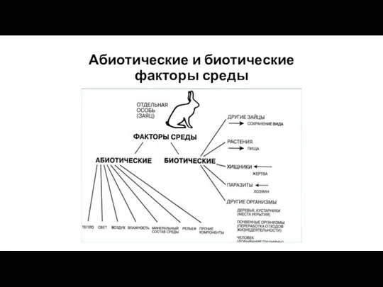 Абиотические и биотические факторы среды