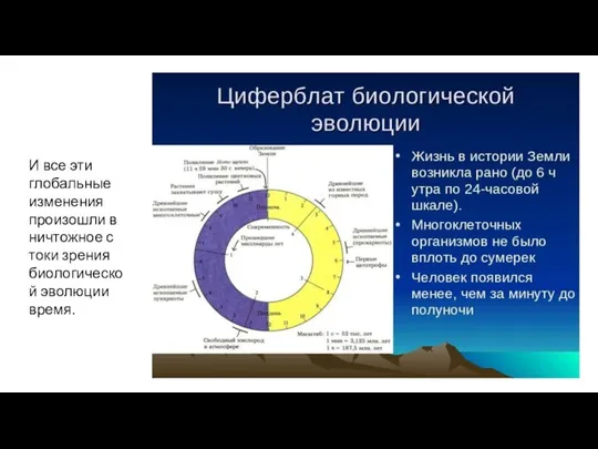 И все эти глобальные изменения произошли в ничтожное с токи зрения биологической эволюции время.