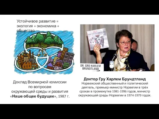 Доклад Всемирной комиссии по вопросам окружающей среды и развития «Наше общее будущее»,