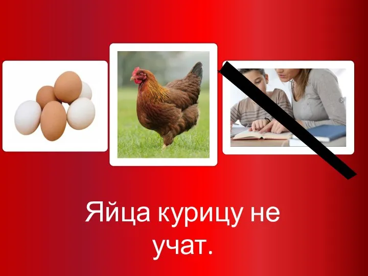 Яйца курицу не учат.