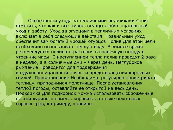 Особенности ухода за тепличными огурчиками Стоит отметить, что как и все живое,