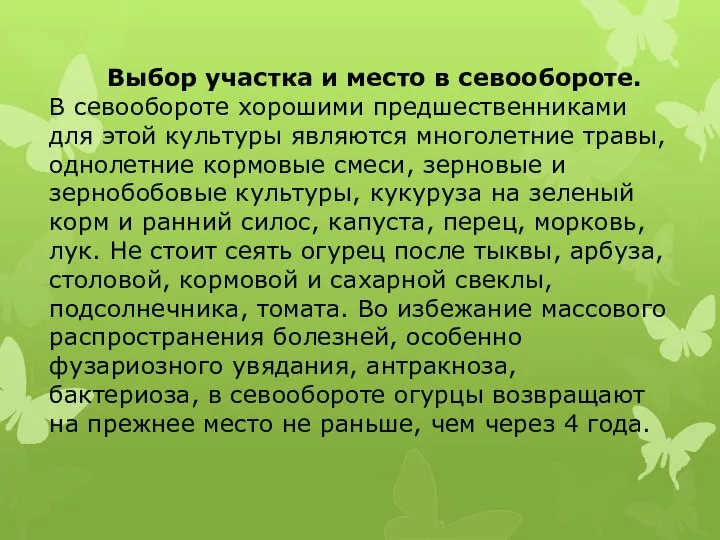 Выбор участка и место в севообороте. В севообороте хорошими предшественниками для этой