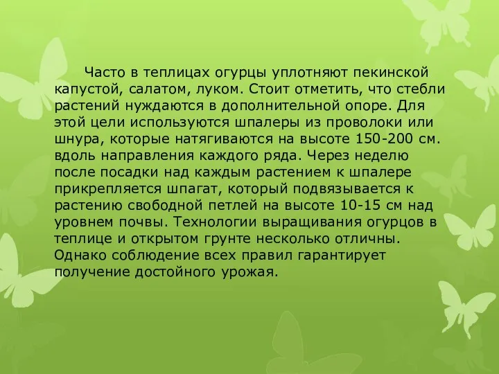 Часто в теплицах огурцы уплотняют пекинской капустой, салатом, луком. Стоит отметить, что