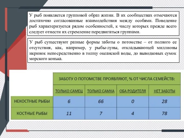 У рыб существуют разные формы заботы о потомстве – от полного ее