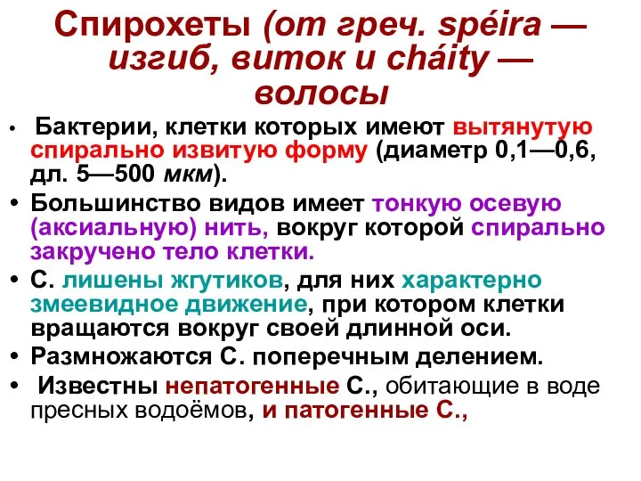 Спирохеты (от греч. spéira — изгиб, виток и cháitу — волосы Бактерии,