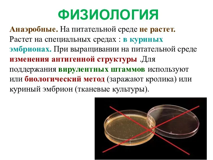 ФИЗИОЛОГИЯ Анаэробные. На питательной среде не растет. Растет на специальных средах :