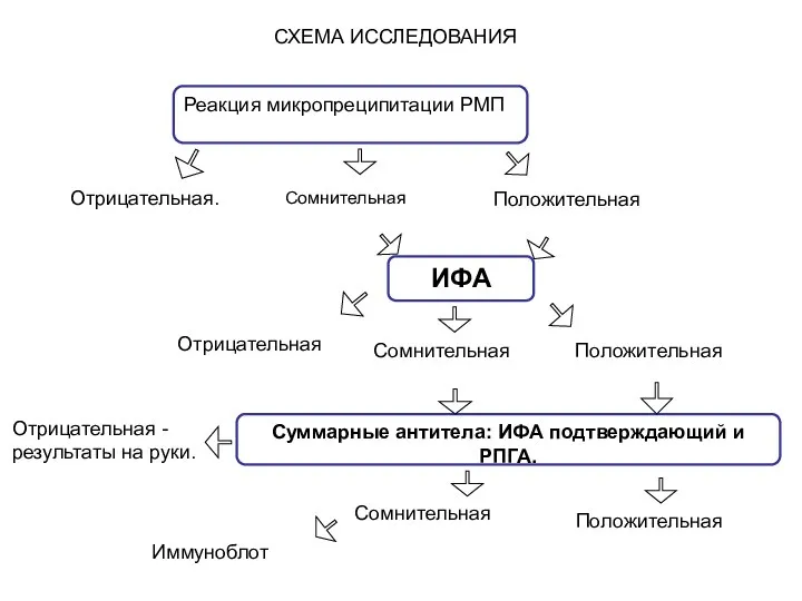 СХЕМА ИССЛЕДОВАНИЯ Реакция микропреципитации РМП Сомнительная Положительная Суммарные антитела: ИФА подтверждающий и