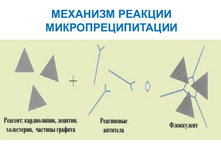 МЕХАНИЗМ РЕАКЦИИ МИКРОПРЕЦИПИТАЦИИ