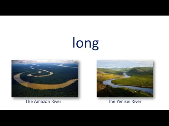 long The Amazon River The Yenisei River