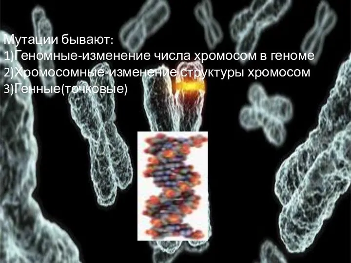 Мутации бывают: 1)Геномные-изменение числа хромосом в геноме 2)Хромосомные-изменение структуры хромосом 3)Генные(точковые)