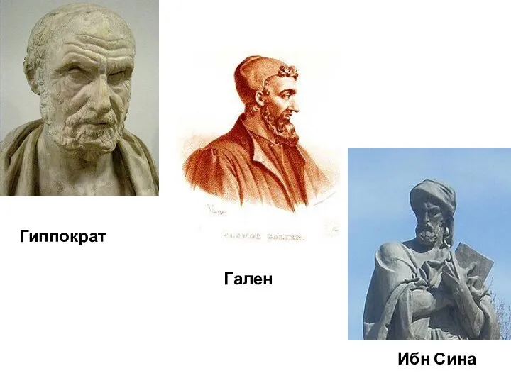 Гиппократ Гален Ибн Сина