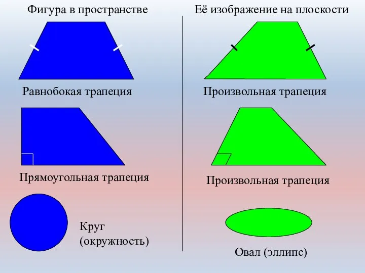 Фигура в пространстве Её изображение на плоскости Равнобокая трапеция Произвольная трапеция Прямоугольная