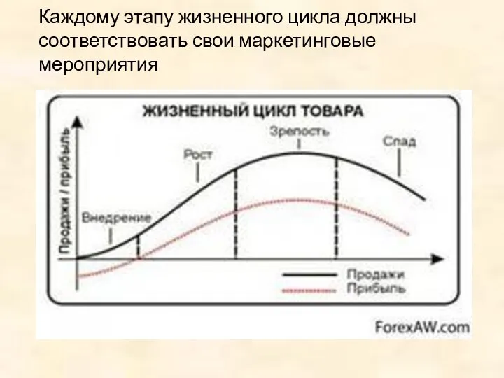 Каждому этапу жизненного цикла должны соответствовать свои маркетинговые мероприятия