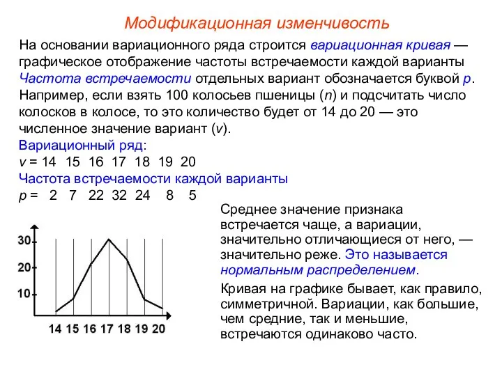 Модификационная изменчивость На основании вариационного ряда строится вариационная кривая — графическое отображение