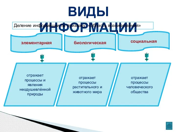 ВИДЫ ИНФОРМАЦИИ Деление информации по признаку «область возникновения» элементарная биологическая социальная отражает