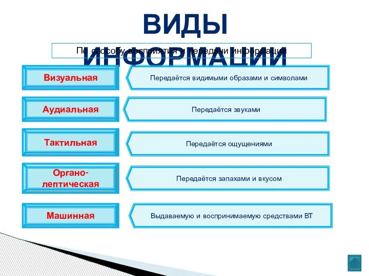 ВИДЫ ИНФОРМАЦИИ По способу восприятия и передачи информации Машинная Органо-лептическая Тактильная Аудиальная