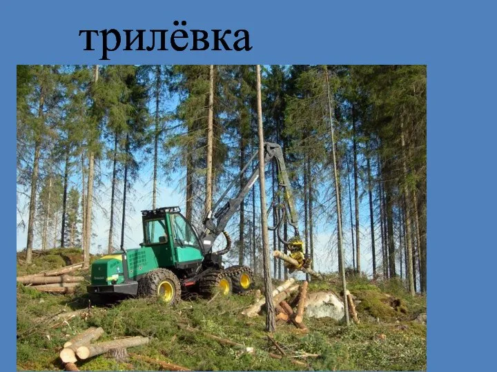 трилёвка