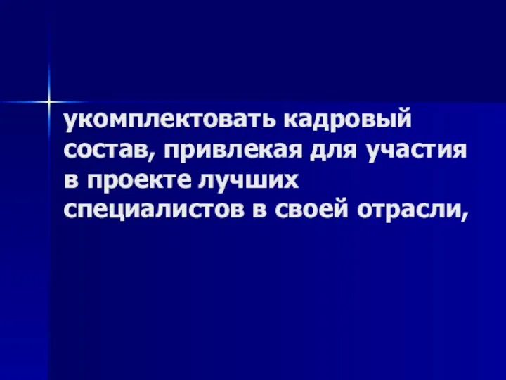 укомплектовать кадровый состав, привлекая для участия в проекте лучших специалистов в своей отрасли,