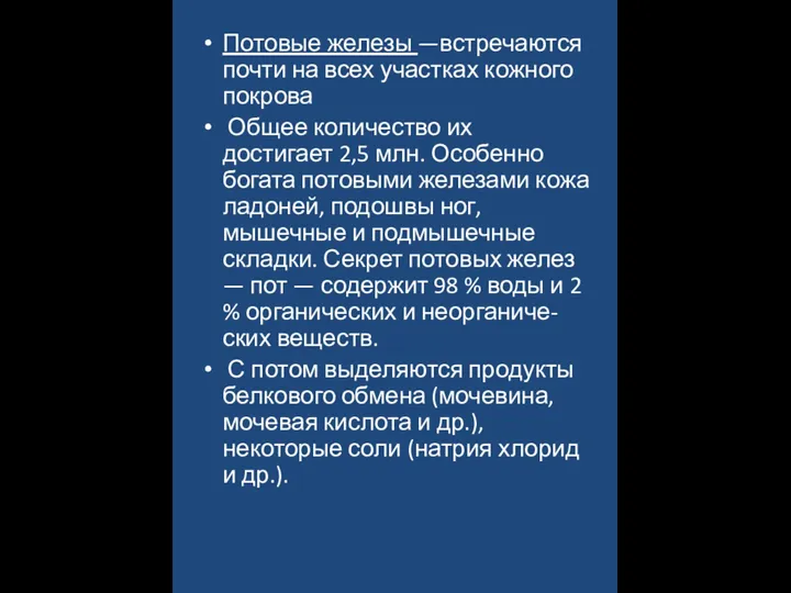 Потовые железы —встречаются почти на всех участках кожного покрова Общее количество их