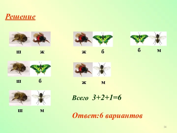 Решение Всего 3+2+1=6 Ответ:6 вариантов ш ш ш ж ж б б