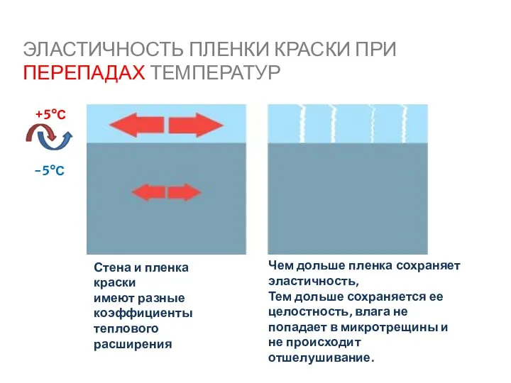 Стена и пленка краски имеют разные коэффициенты теплового расширения Чем дольше пленка