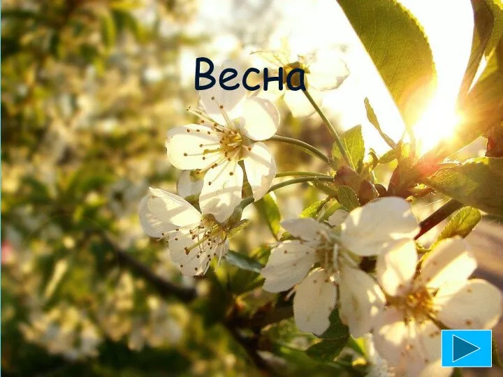 Весна