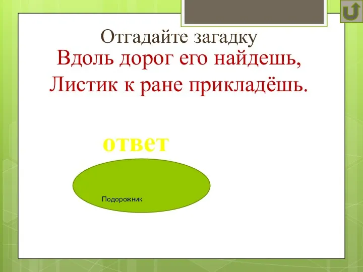 Отгадайте загадку ответ Вдоль дорог его найдешь, Листик к ране прикладёшь. Подорожник