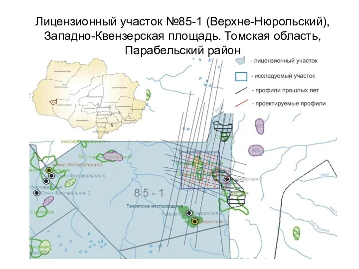 Лицензионный участок №85-1 (Верхне-Нюрольский), Западно-Квензерская площадь. Томская область, Парабельский район