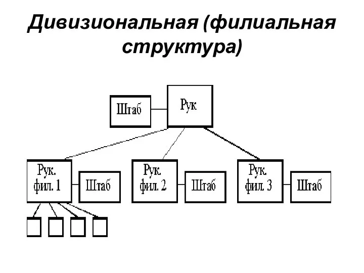Дивизиональная (филиальная структура)