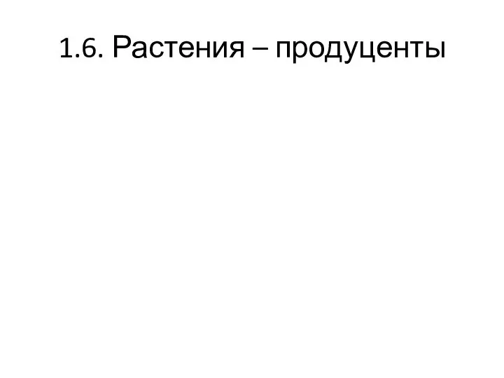 1.6. Растения – продуценты