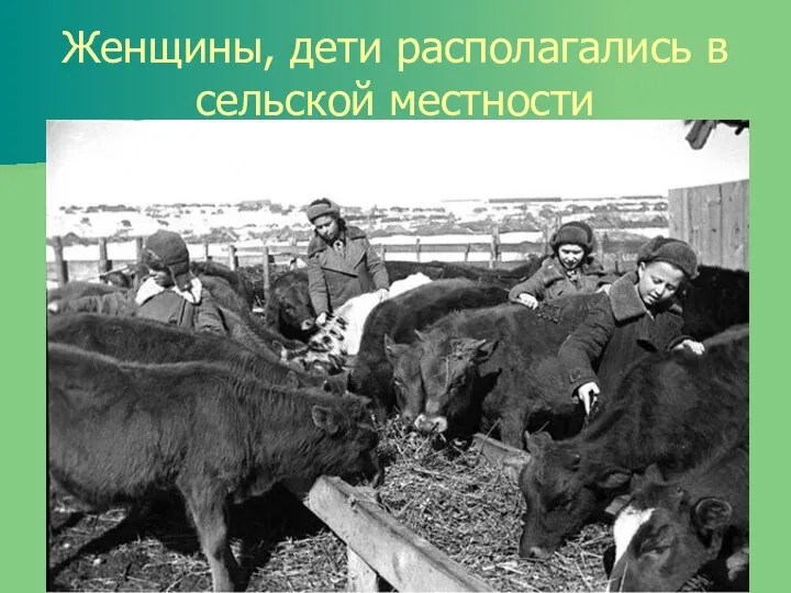 Женщины, дети располагались в сельской местности