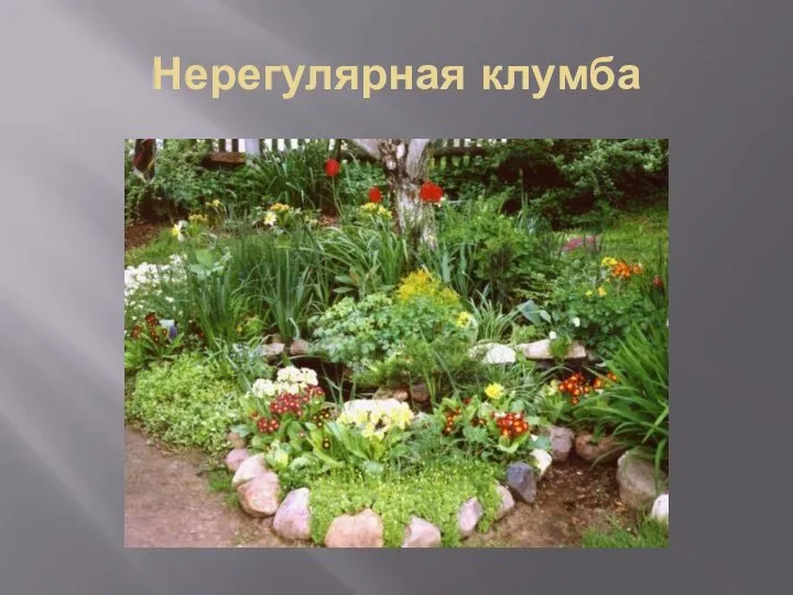 Нерегулярная клумба