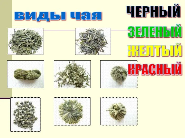 виды чая ЧЕРНЫЙ ЗЕЛЕНЫЙ ЖЕЛТЫЙ КРАСНЫЙ