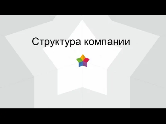 Структура компании