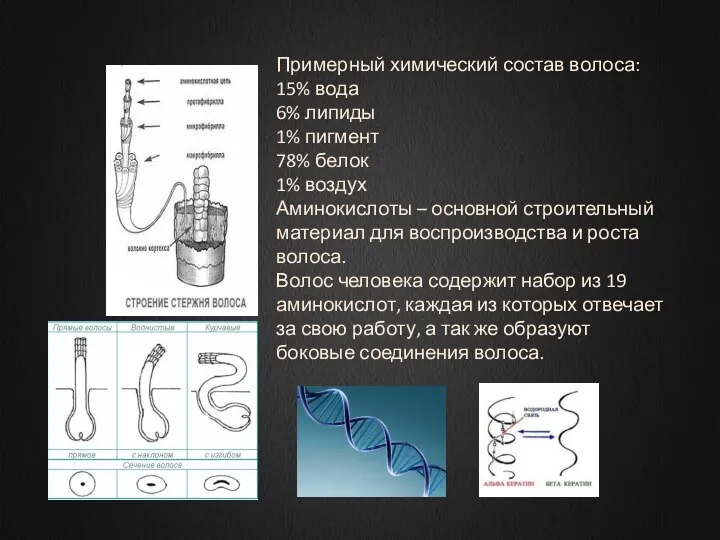 Примерный химический состав волоса: 15% вода 6% липиды 1% пигмент 78% белок