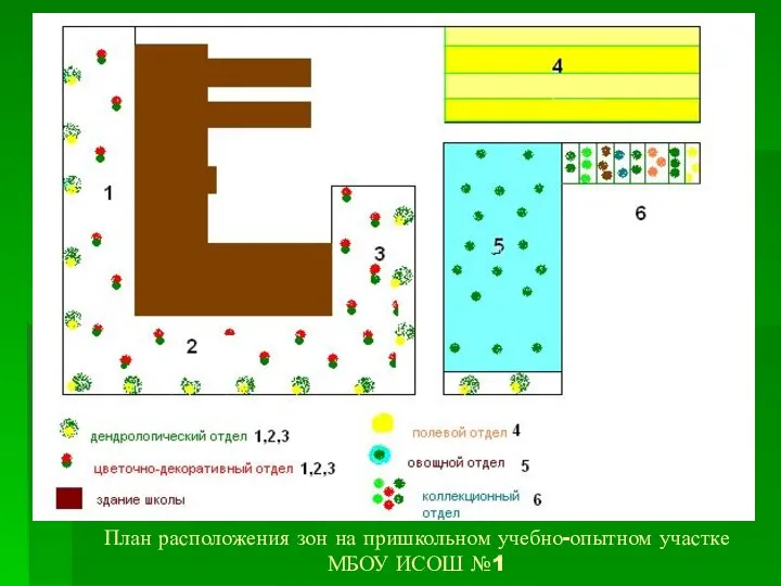 План расположения зон на пришкольном учебно-опытном участке МБОУ ИСОШ №1